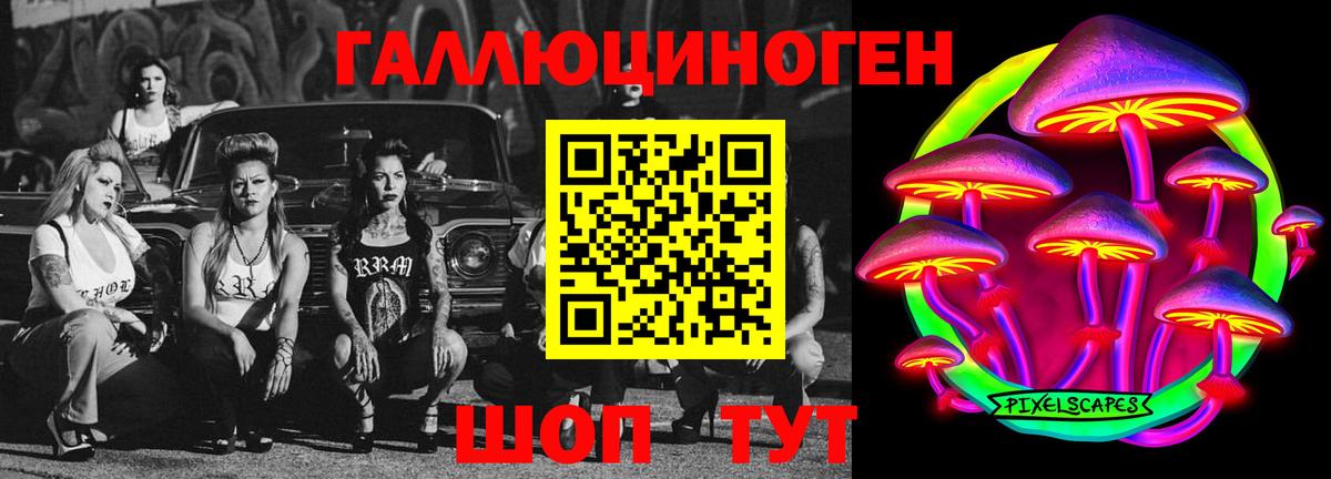 Ставрополь  Псилоцибиновые грибы Psilocybe  Вход с VPN 