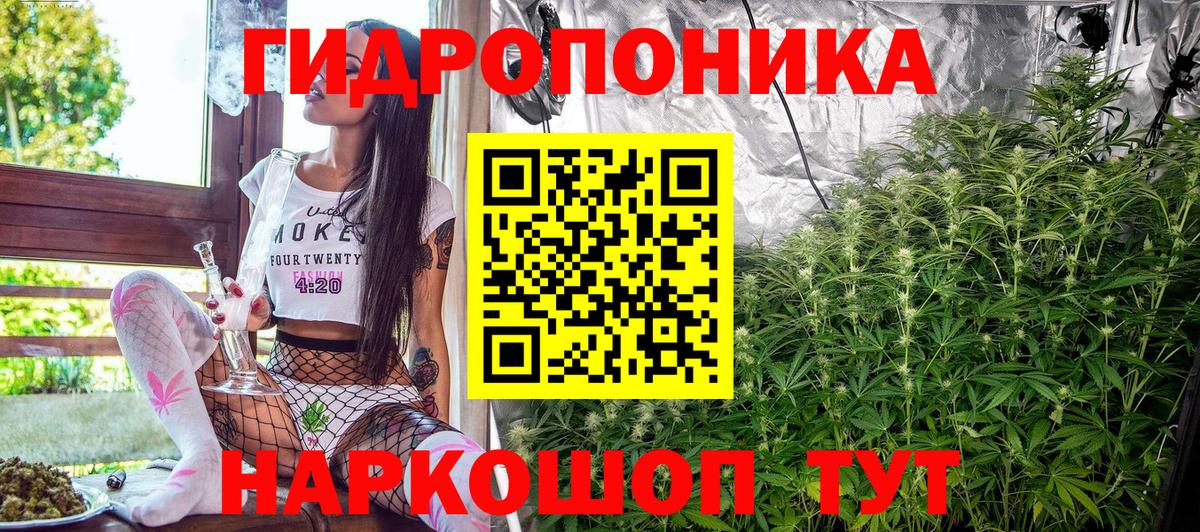 Канабис конопля Ставрополь